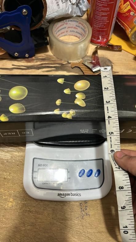 GlowShroom Solar Garden Lights | Waterproof Jellyfish & Mushroom Outdoor Lamps